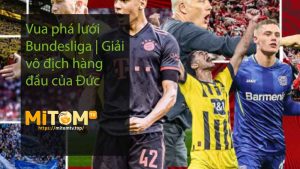 Vua phá lưới Bundesliga Giải vô địch hàng đầu của Đức