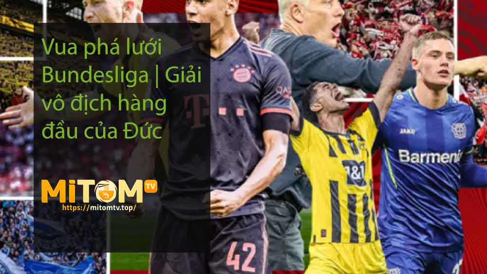 Vua phá lưới Bundesliga Giải vô địch hàng đầu của Đức