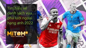 Tìm hiểu về danh sách vua phá lưới ngoại hạng anh 2022