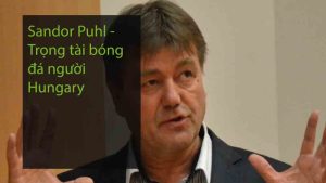 Sandor Puhl - Trọng tài bóng đá người Hungary