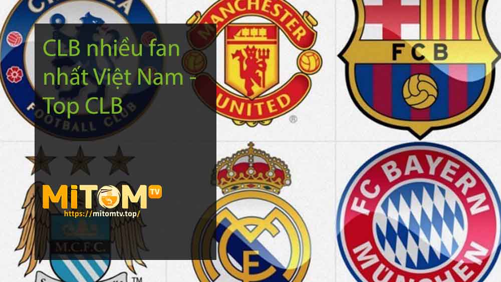 CLB nhiều fan nhất Việt Nam - Top CLB